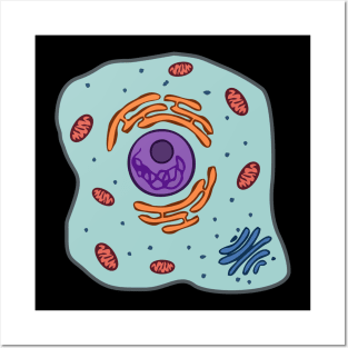 Animal cell Posters and Art